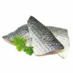 FRESH GREY MULLET FILLET