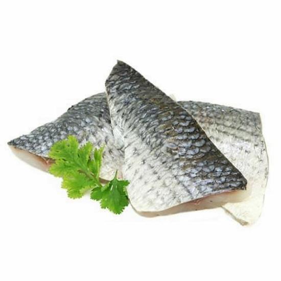 FRESH GREY MULLET FILLET