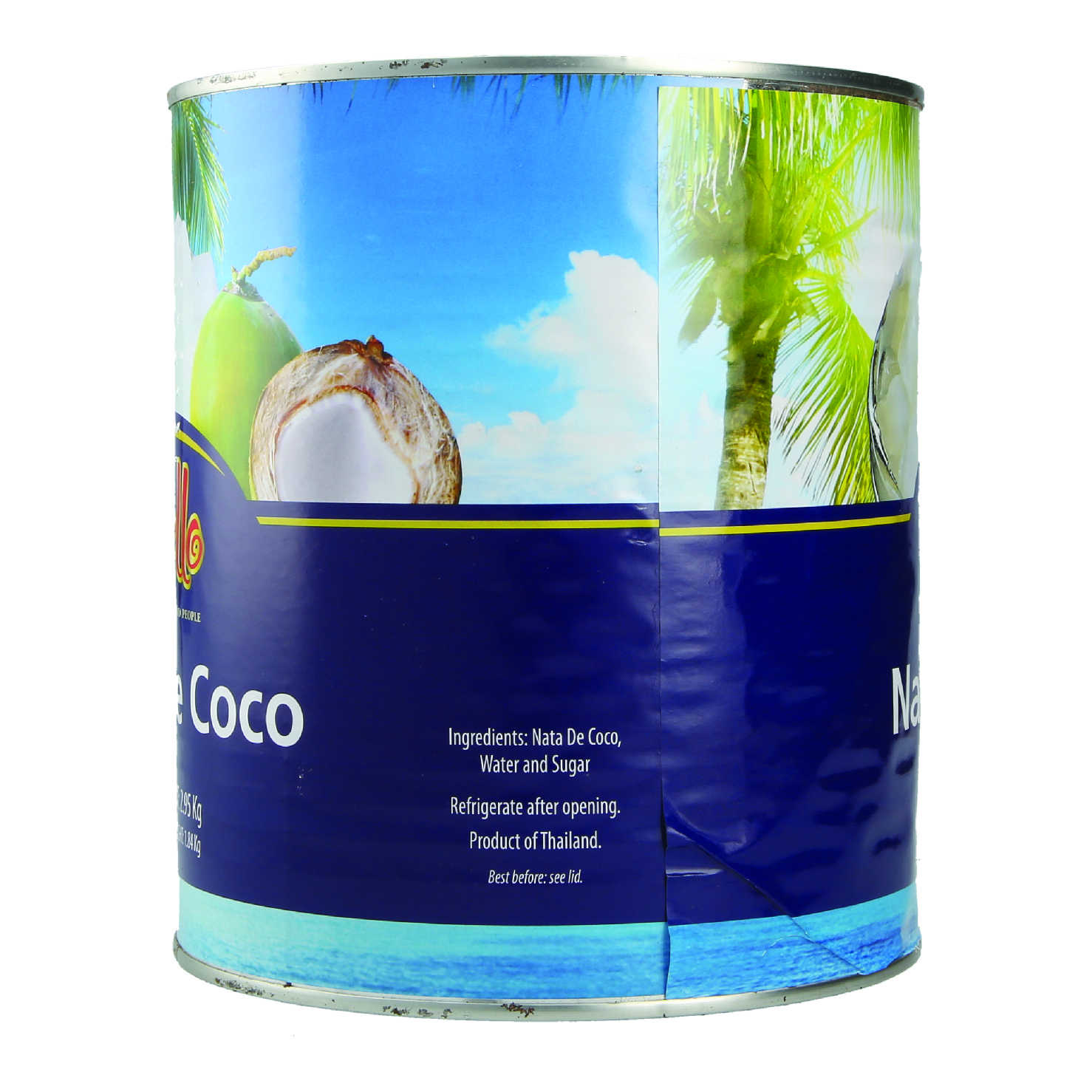 A10 CANNED NATA DE COCO