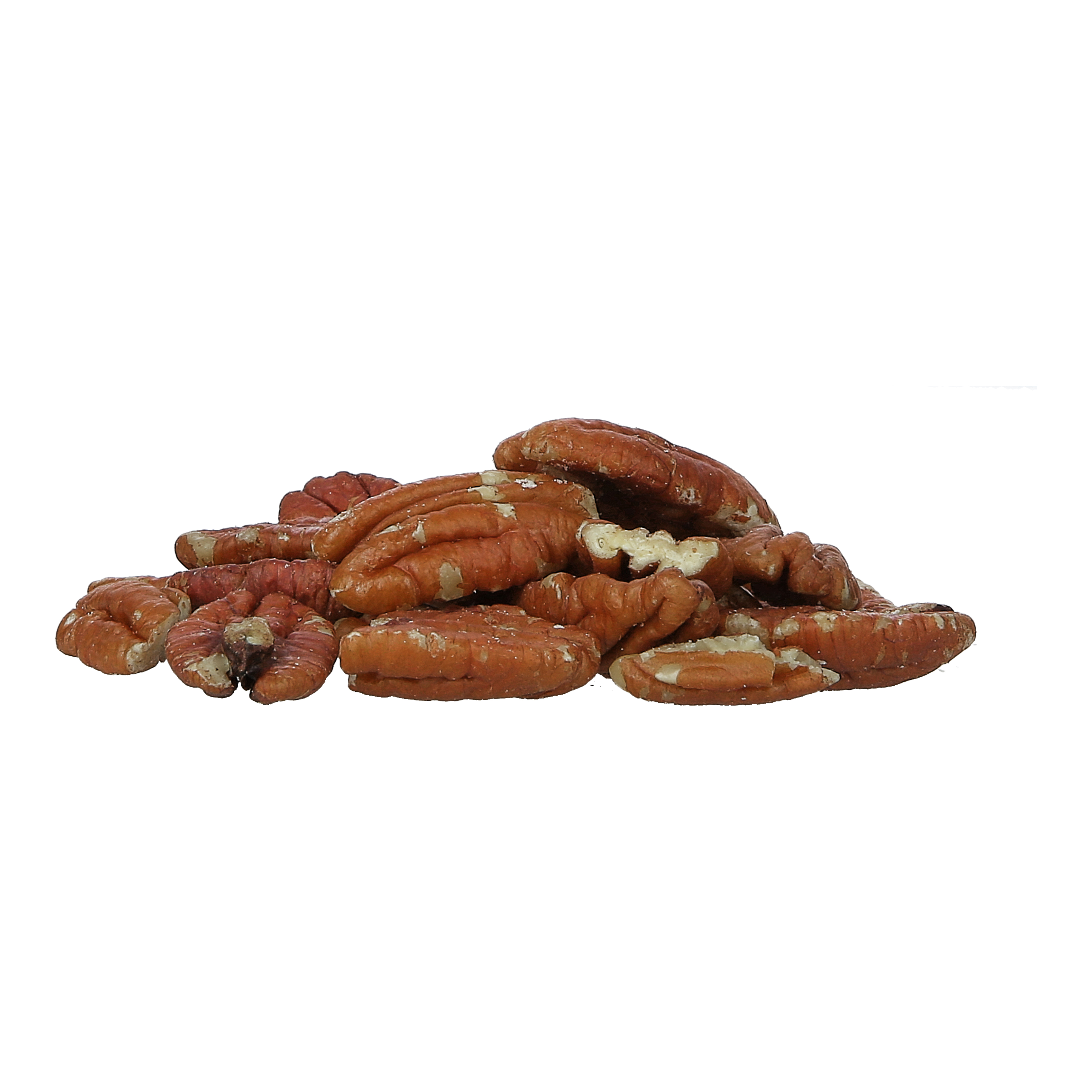 PECAN NUT